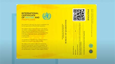 boq cebu main|How to Apply for a Bureau of Quarantine Yellow Card .